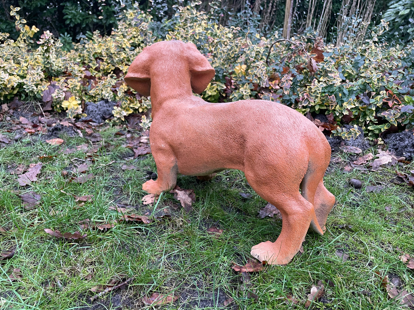 Beeld grote teckel, tekkel, hond, tuin, gazon 50 cm