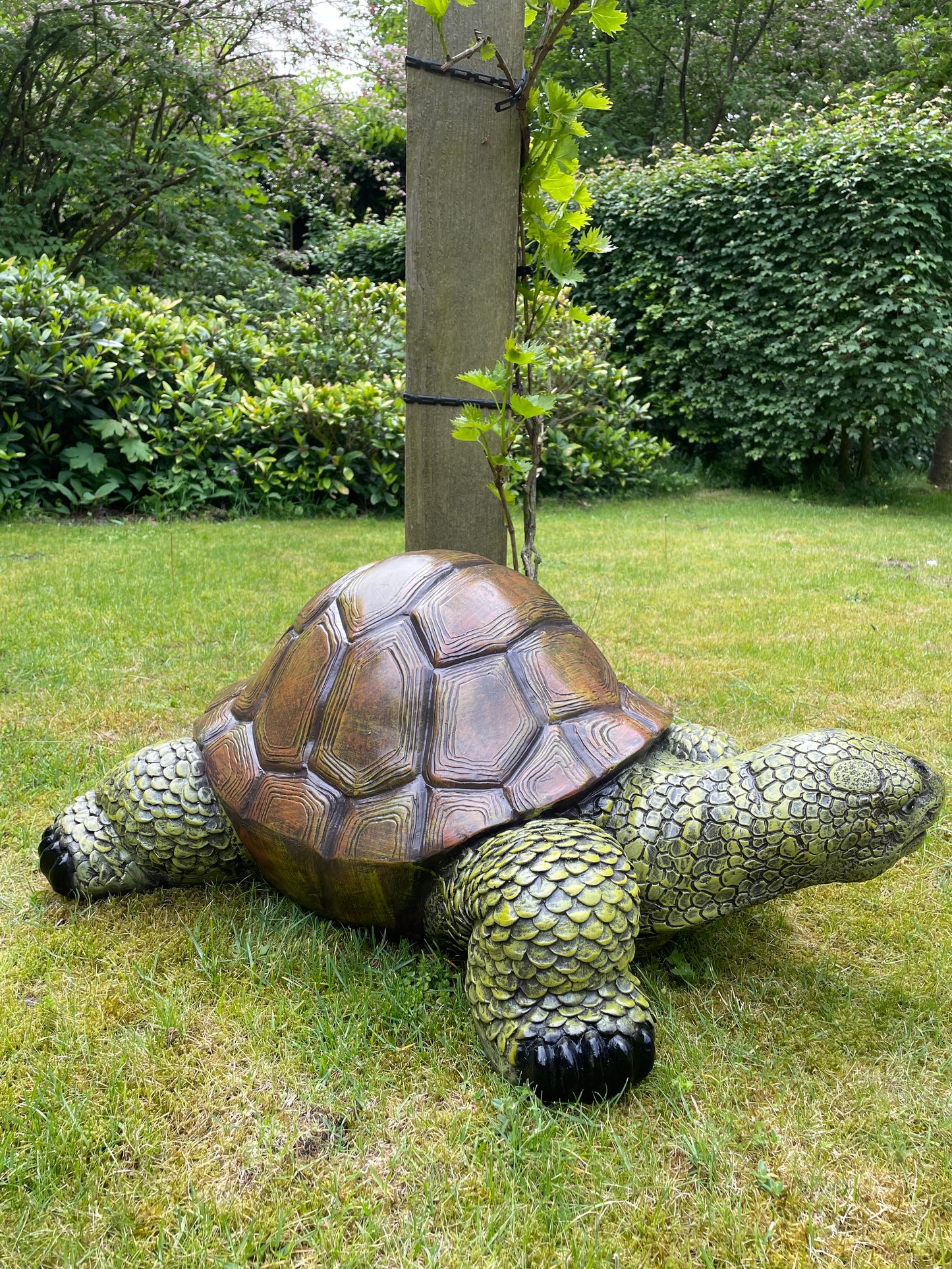 (Tuin)Beeld schildpad, gazon, tuin, vijver, 90 cm
