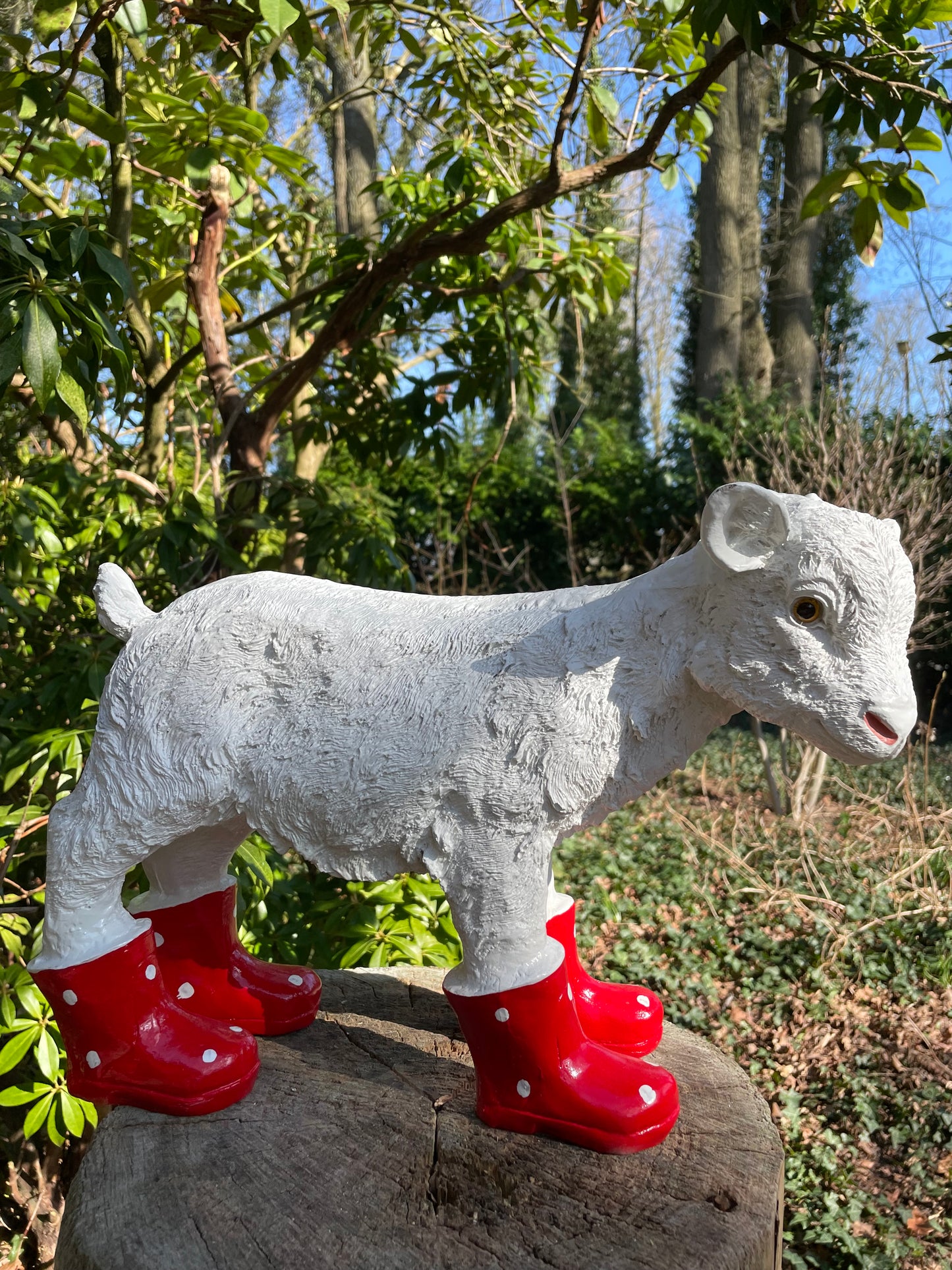 Geitje laarsjes, kinder, babykamer Rood 25cm