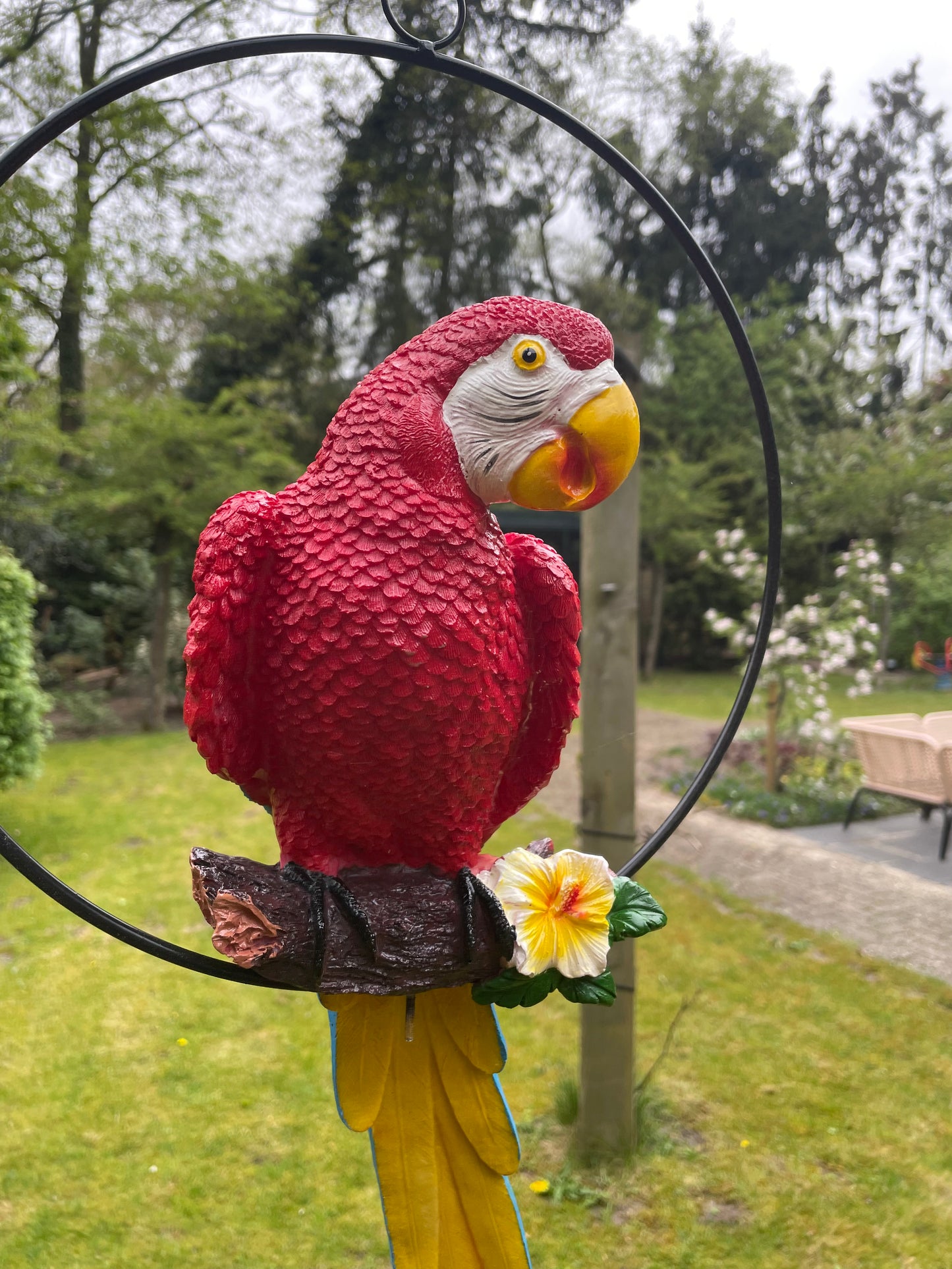 Beeld papegaai rood tuin, zwembad, vijver, balkon 50cm