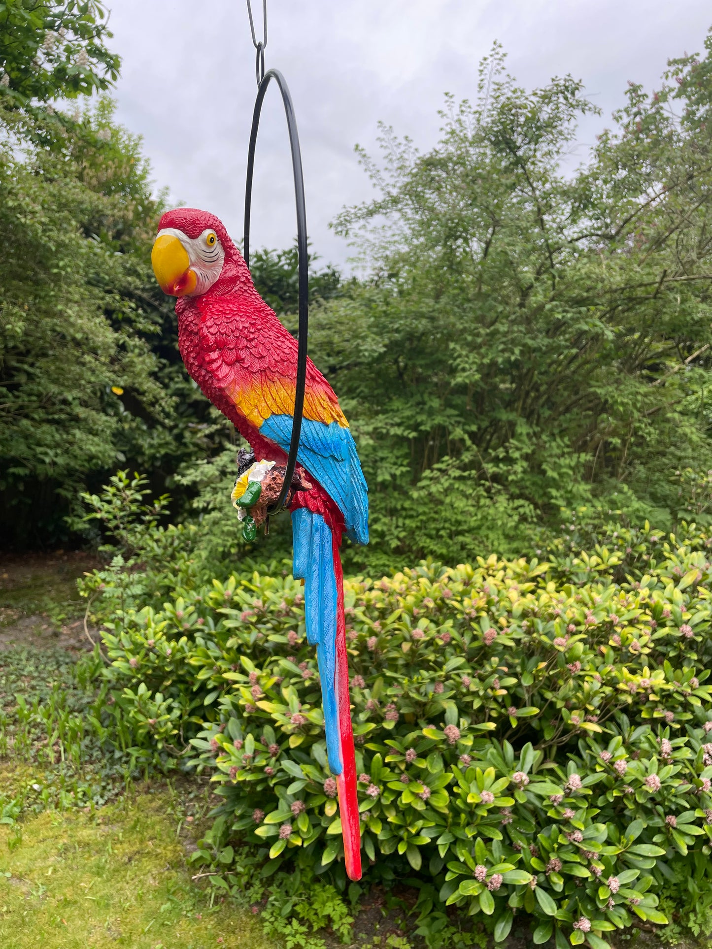 Beeld papegaai rood tuin, zwembad, vijver, balkon 50cm