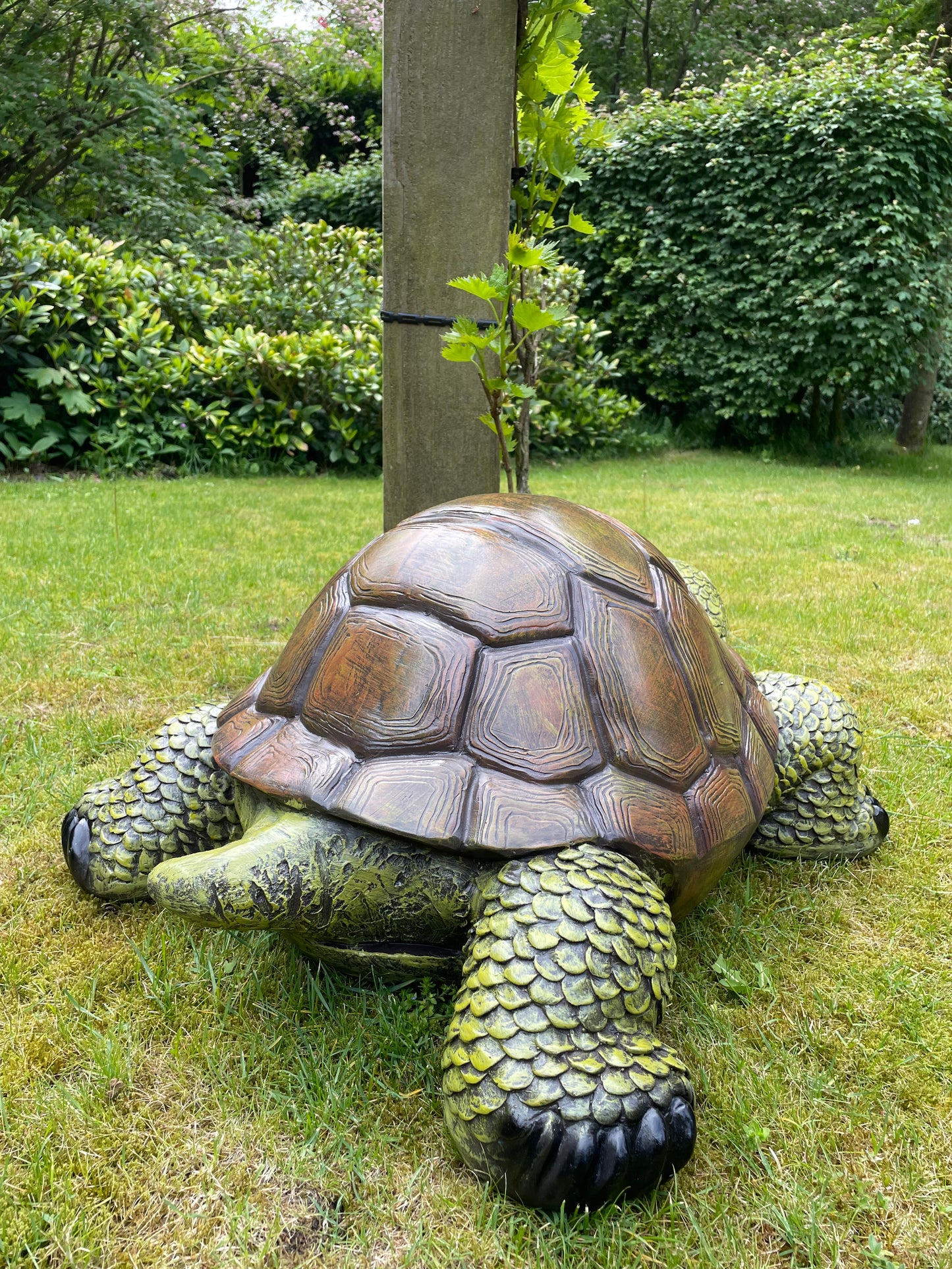 (Tuin)Beeld schildpad, gazon, tuin, vijver, 90 cm