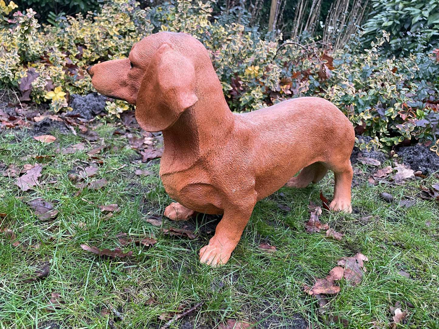 Beeld grote teckel, tekkel, hond, tuin, gazon 50 cm