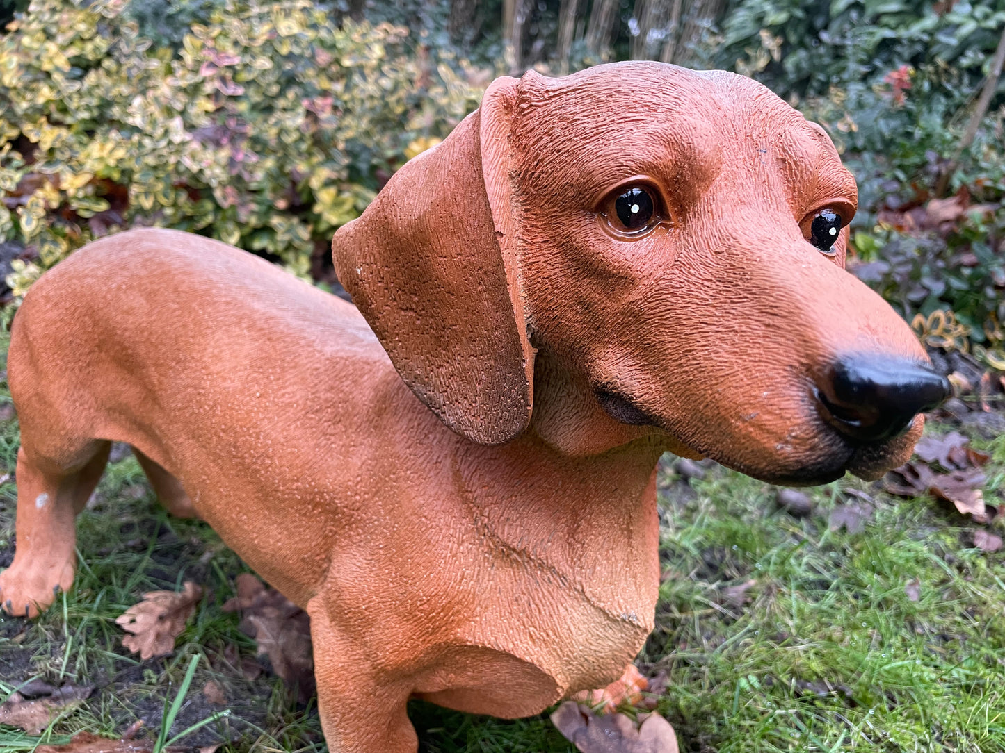 Beeld grote teckel, tekkel, hond, tuin, gazon 50 cm