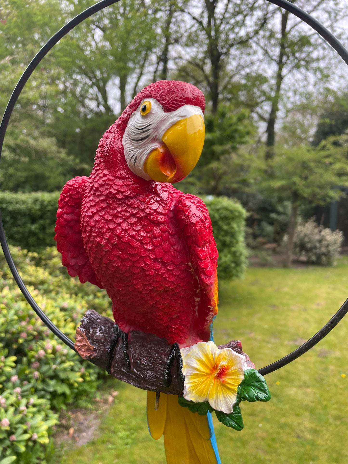 Beeld papegaai rood tuin, zwembad, vijver, balkon 50cm