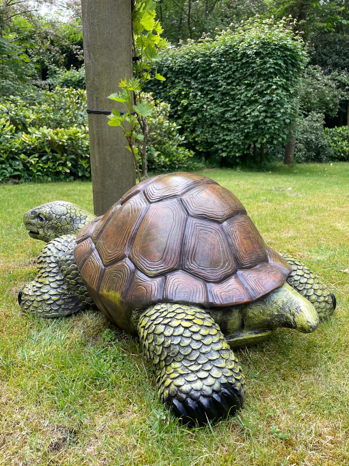 (Tuin)Beeld schildpad, gazon, tuin, vijver, 90 cm