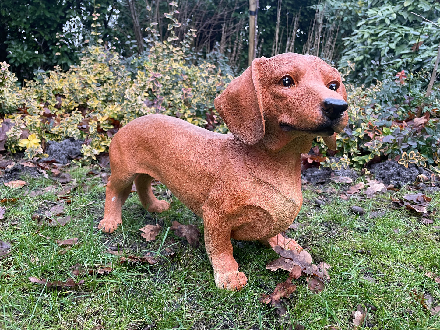Beeld grote teckel, tekkel, hond, tuin, gazon 50 cm
