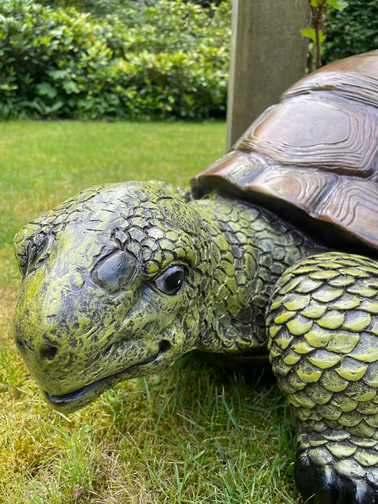 (Tuin)Beeld schildpad, gazon, tuin, vijver, 90 cm