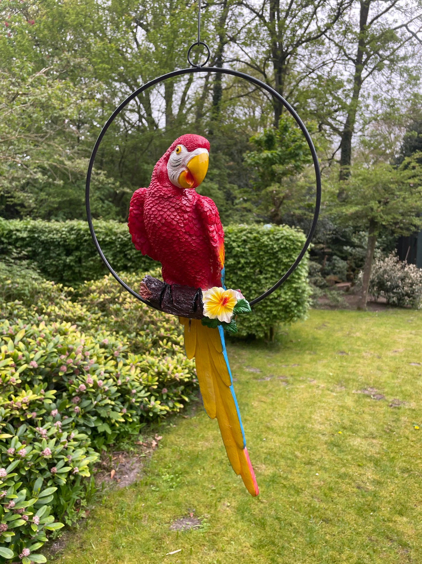 Beeld papegaai rood tuin, zwembad, vijver, balkon 50cm