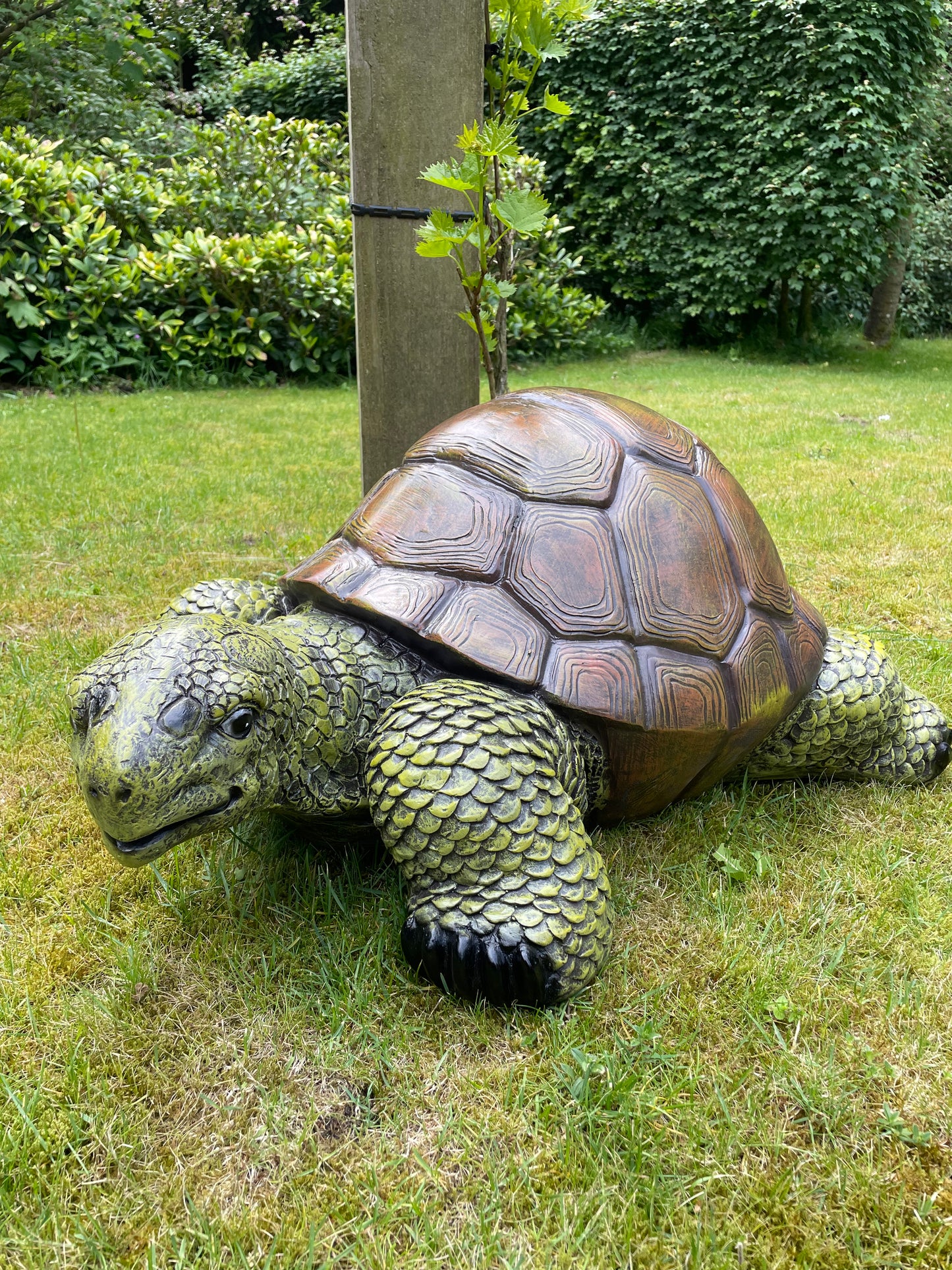 (Tuin)Beeld schildpad, gazon, tuin, vijver, 90 cm