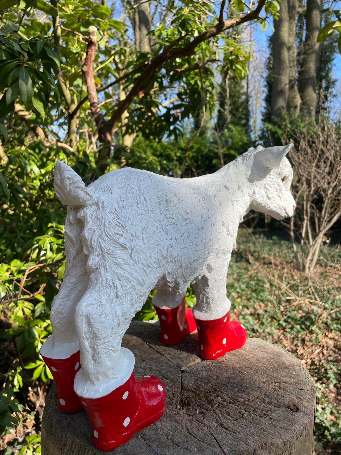 Geitje laarsjes, kinder, babykamer Rood 25cm